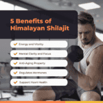 5 Benefits Of Himalayan Shilajit