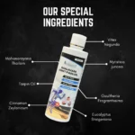 Ingredients In Sanjivani Joint Pain Oil